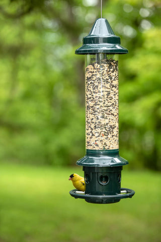 🐦 FeatherSafe Squirrel-Resistant Bird Feeder – More Seed for the Birds