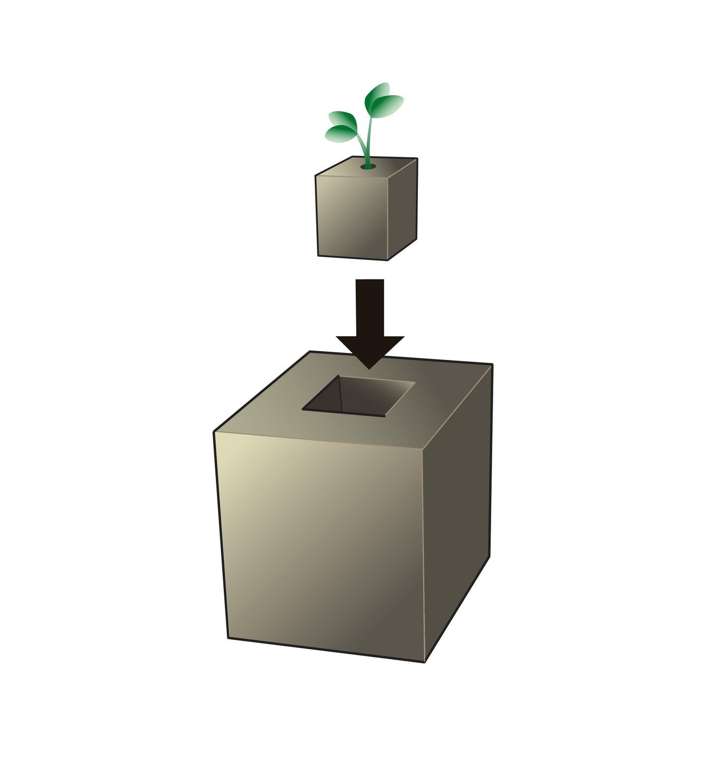 🌱 BlockStart Soil Block Maker – Pot-Free Seed Starting Tool